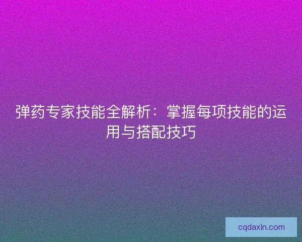 弹药专家技能全解析：掌握每项技能的运用与搭配技巧