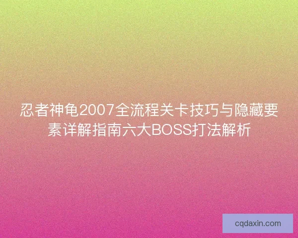 忍者神龟2007全流程关卡技巧与隐藏要素详解指南六大BOSS打法解析