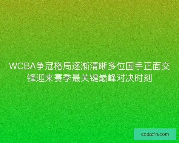 WCBA争冠格局逐渐清晰多位国手正面交锋迎来赛季最关键巅峰对决时刻