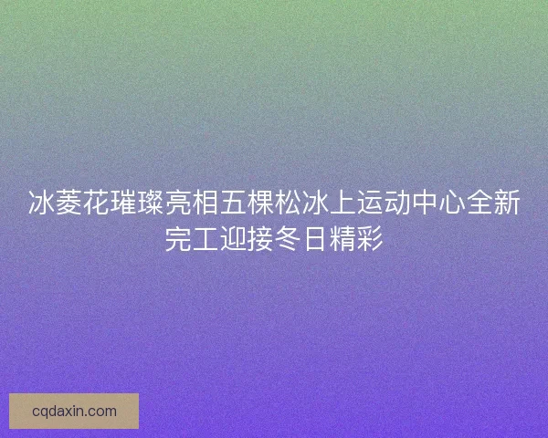 冰菱花璀璨亮相五棵松冰上运动中心全新完工迎接冬日精彩 冰菱花璀璨亮相五棵松冰上运动中心全新完工迎接冬日精彩